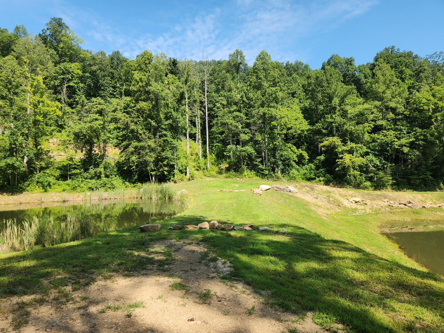 170 Birch Hollow Road Stanton, KY 40380 - Photo 6 of 25