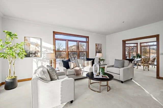 a living room with furniture and a potted plant