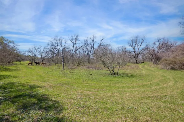 a view of a yard with an trees