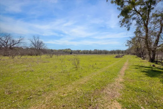 a view of a yard with a tree