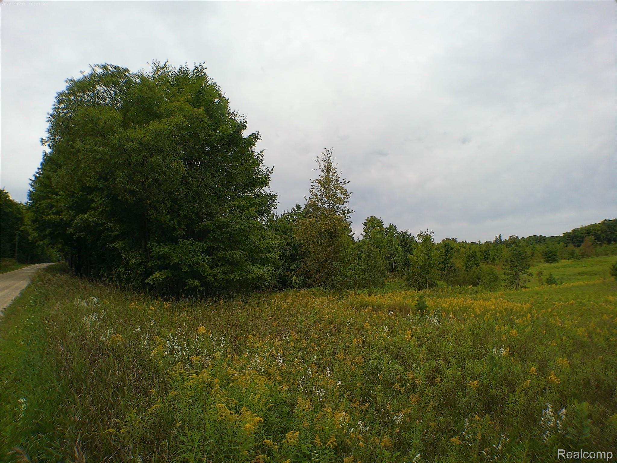0 North 27th Road Mesick, MI 49668 - Photo 7 of 14 ANMP0249.jpg