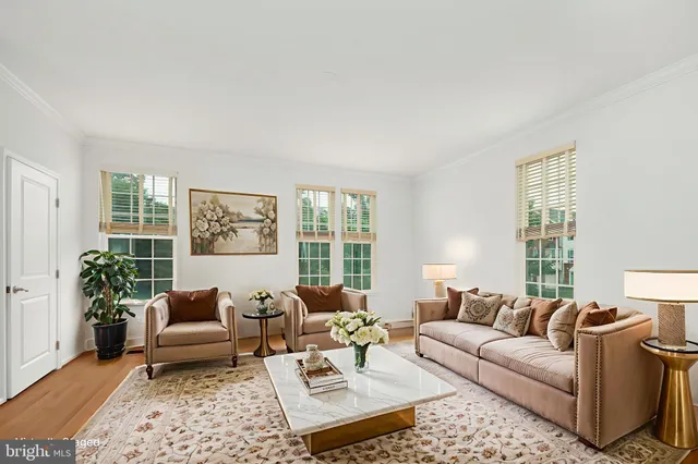 a workspace with furniture and a potted plant