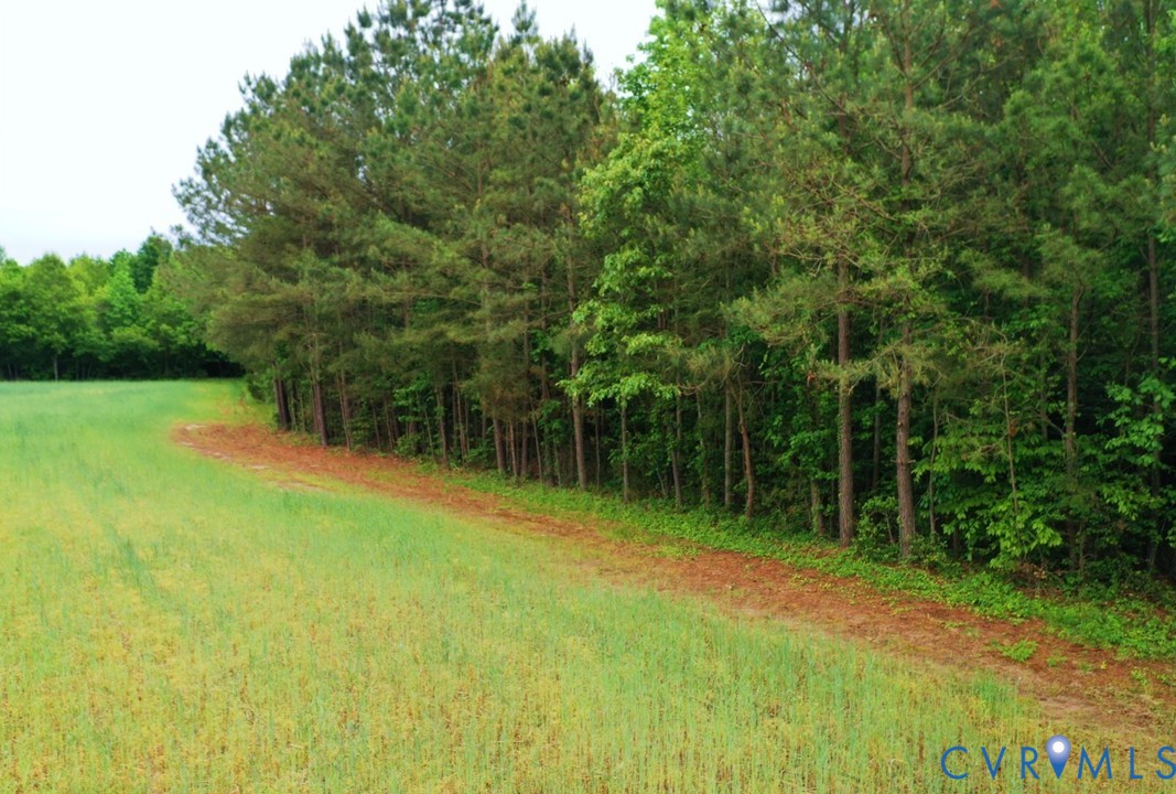 2 Silver Ridge Road Topping, VA 23169 - Photo 11 of 14