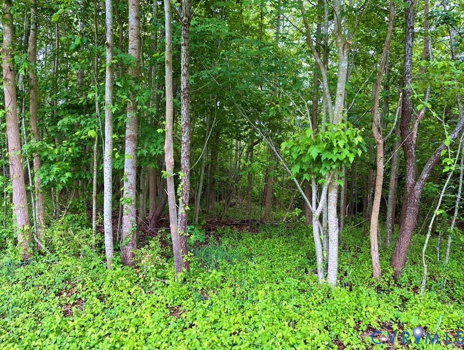 2 Silver Ridge Road Topping, VA 23169 - Photo 12 of 14