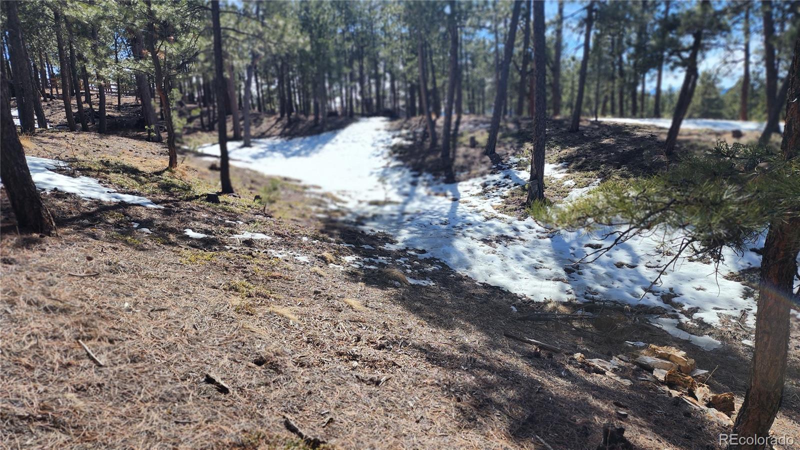 17536 Colonial Park Drive Monument, CO 80132 - Photo 11 of 16