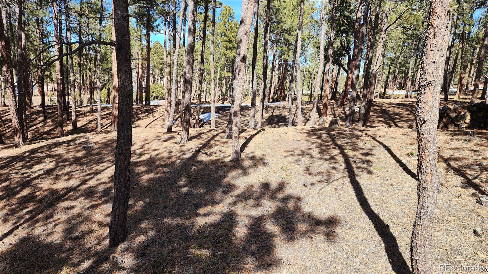 17536 Colonial Park Drive Monument, CO 80132 - Photo 12 of 16