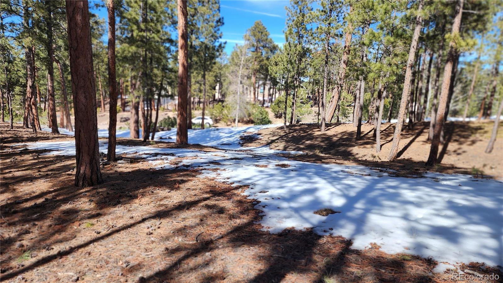 17536 Colonial Park Drive Monument, CO 80132 - Photo 13 of 16