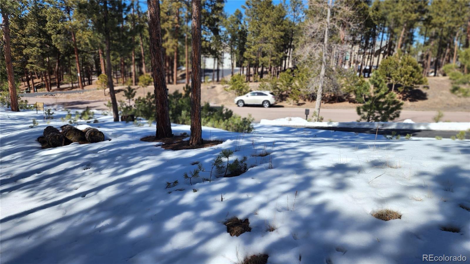 17536 Colonial Park Drive Monument, CO 80132 - Photo 14 of 16