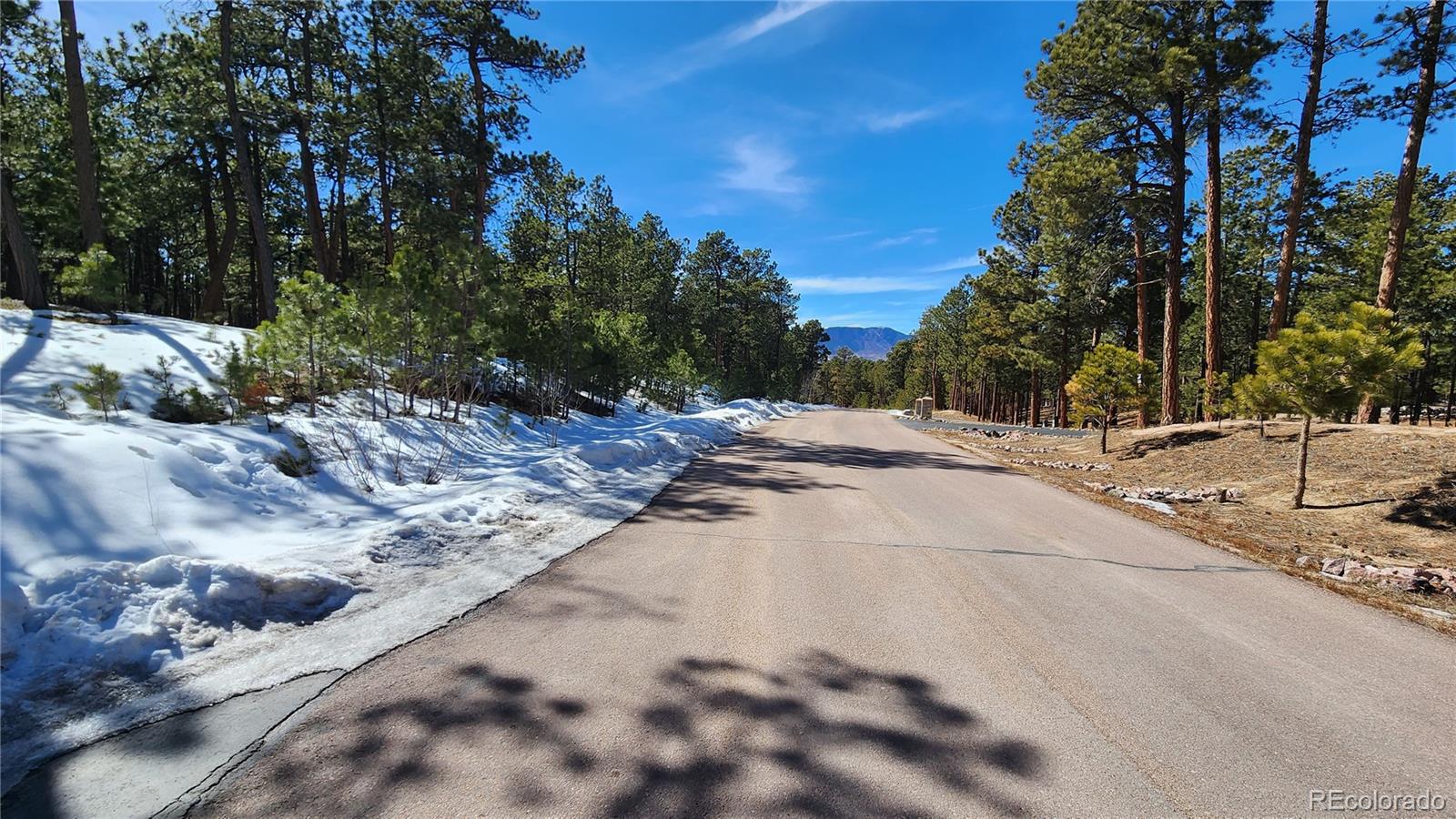 17536 Colonial Park Drive Monument, CO 80132 - Photo 15 of 16