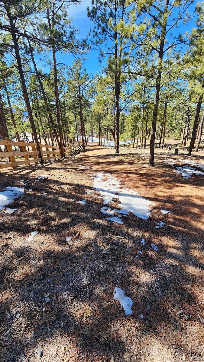 17536 Colonial Park Drive Monument, CO 80132 - Photo 16 of 16