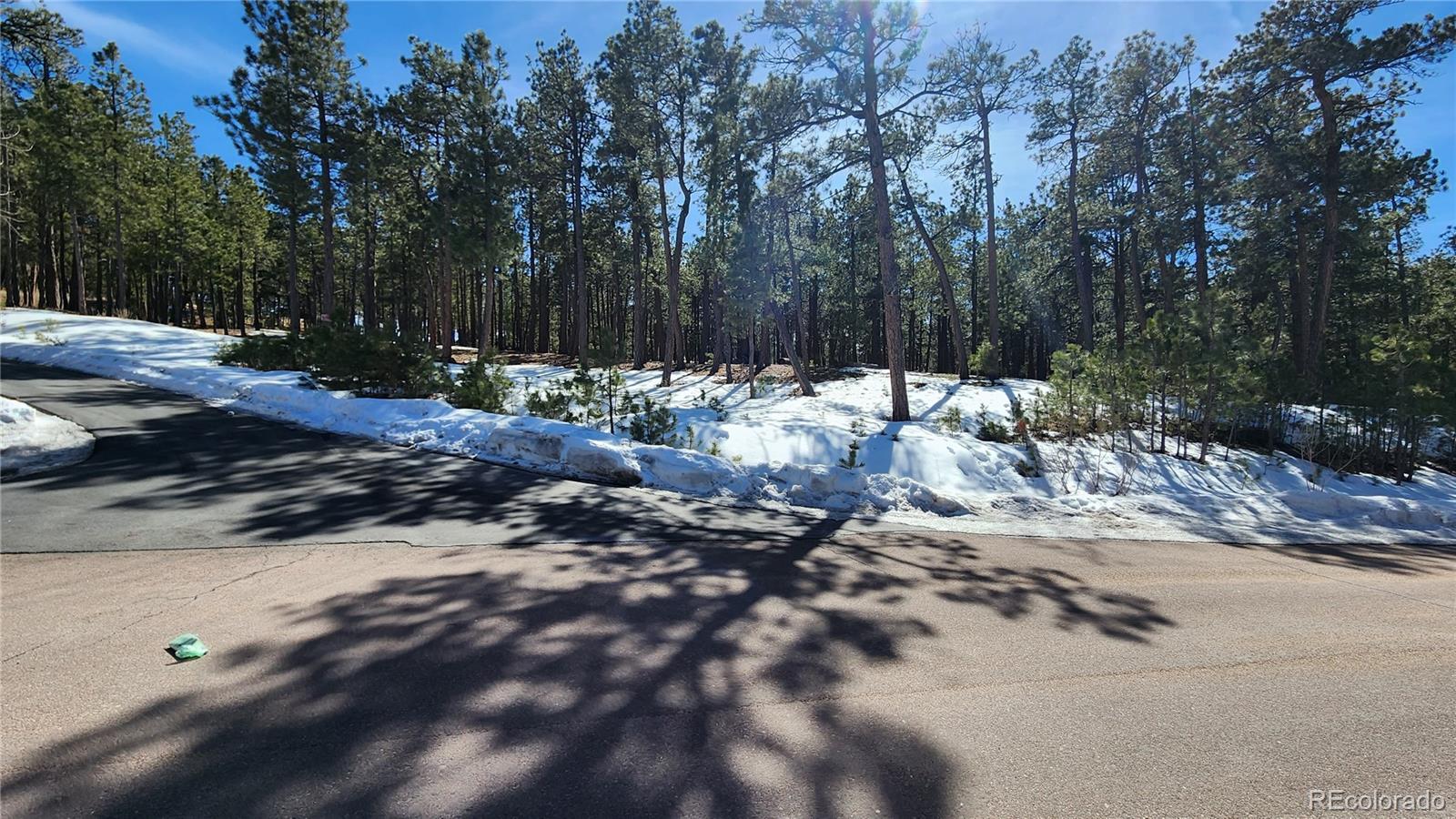 17536 Colonial Park Drive Monument, CO 80132 - Photo 2 of 16