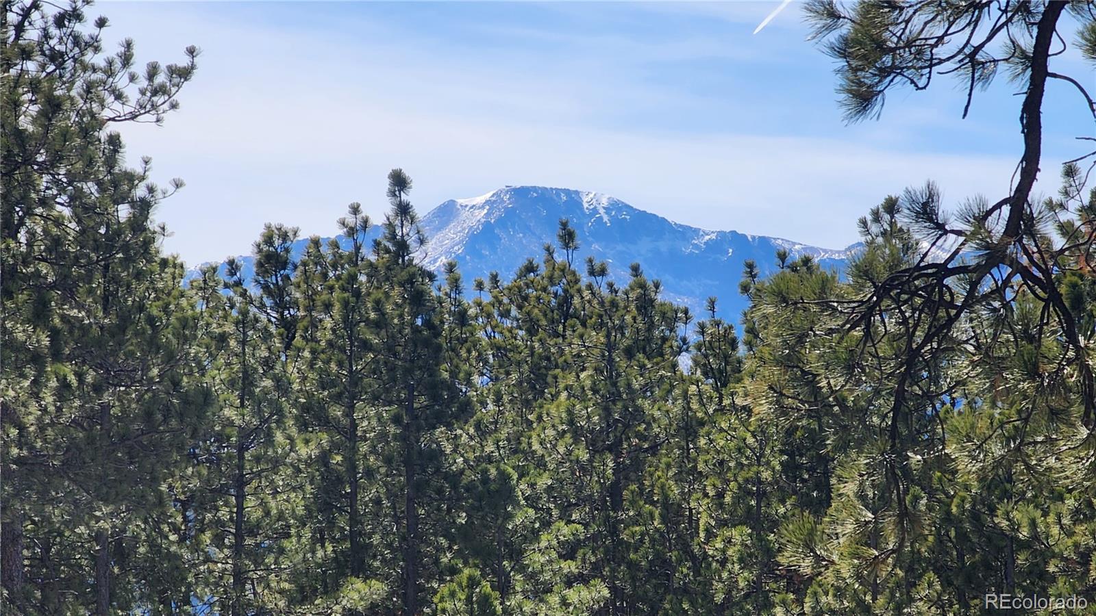 17536 Colonial Park Drive Monument, CO 80132 - Photo 4 of 16