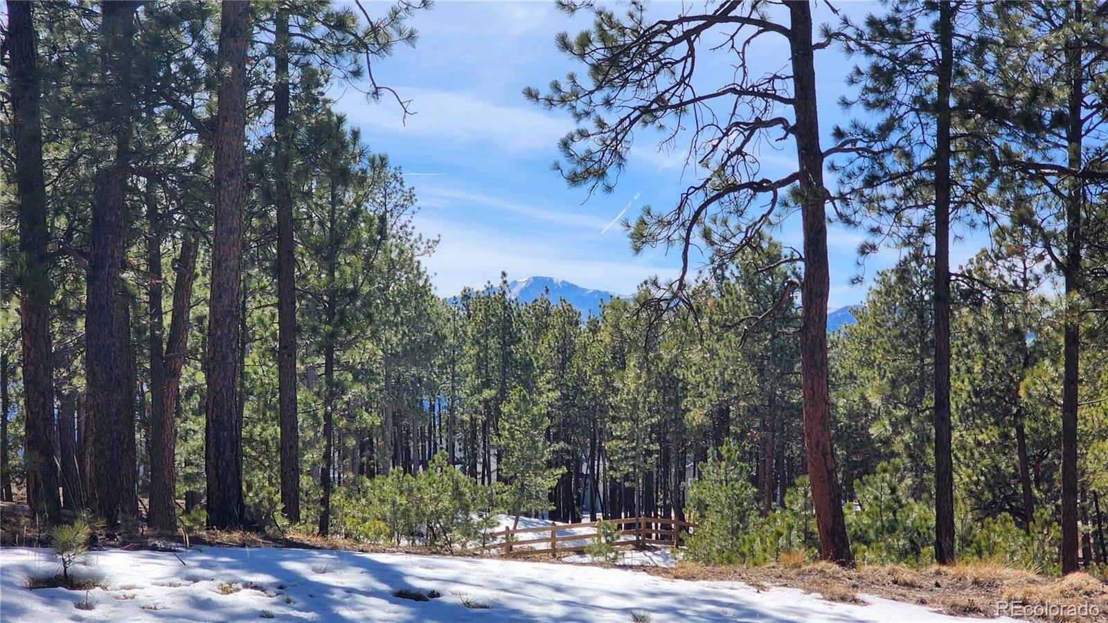 17536 Colonial Park Drive Monument, CO 80132 - Photo 7 of 16