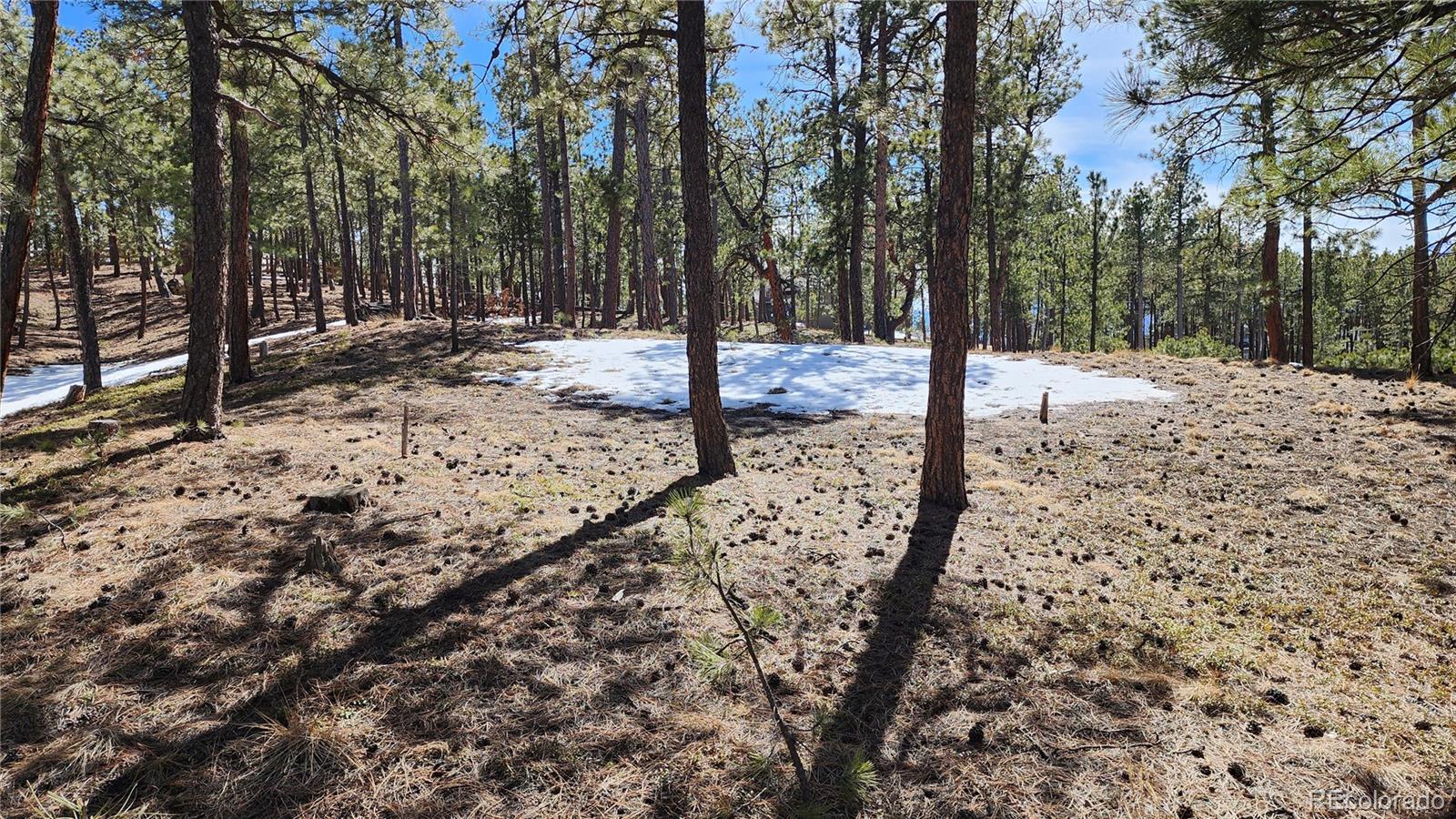 17536 Colonial Park Drive Monument, CO 80132 - Photo 9 of 16