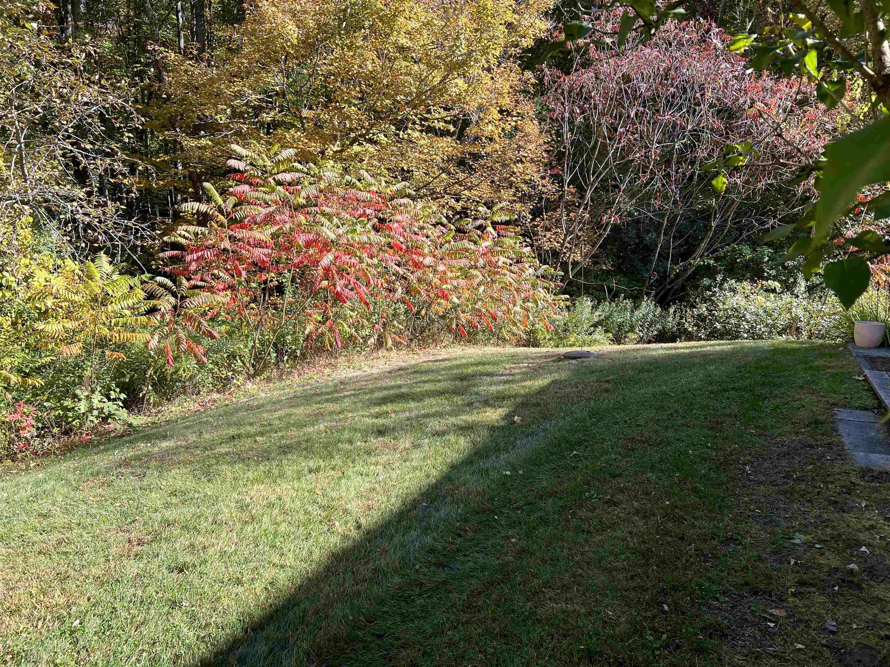 75 Bourn Brook Road, Unit 65 Manchester, VT 05255 - Photo 16 of 25