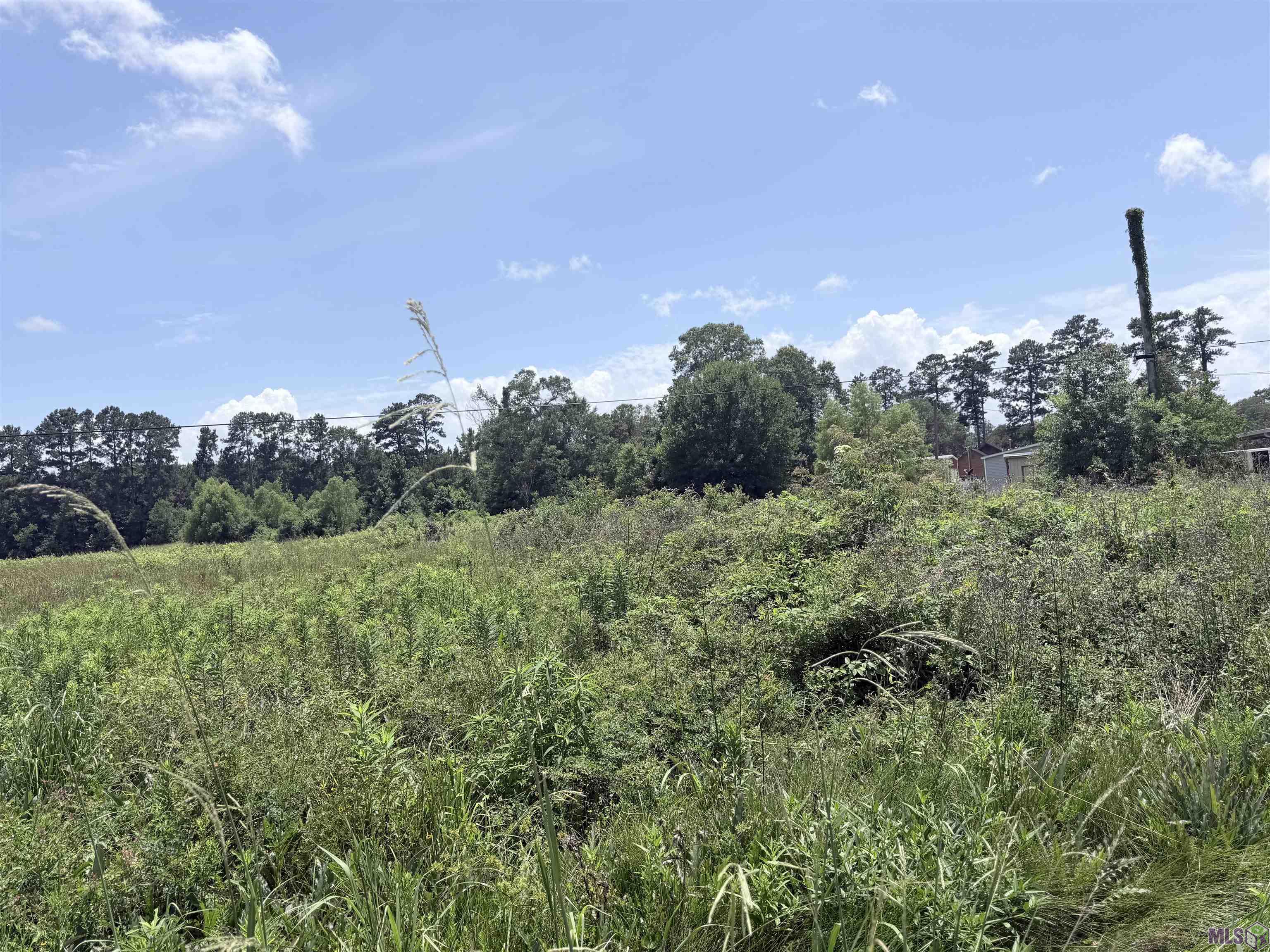 Lot Cc-3 Herman Ernest Road Denham Springs, LA 70706 - Photo 3 of 5