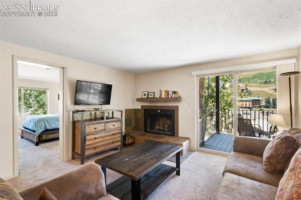 651 Gothic Road, Unit 301 Crested Butte, CO 81225 - Photo 13 of 24 a living room with furniture and a flat screen tv