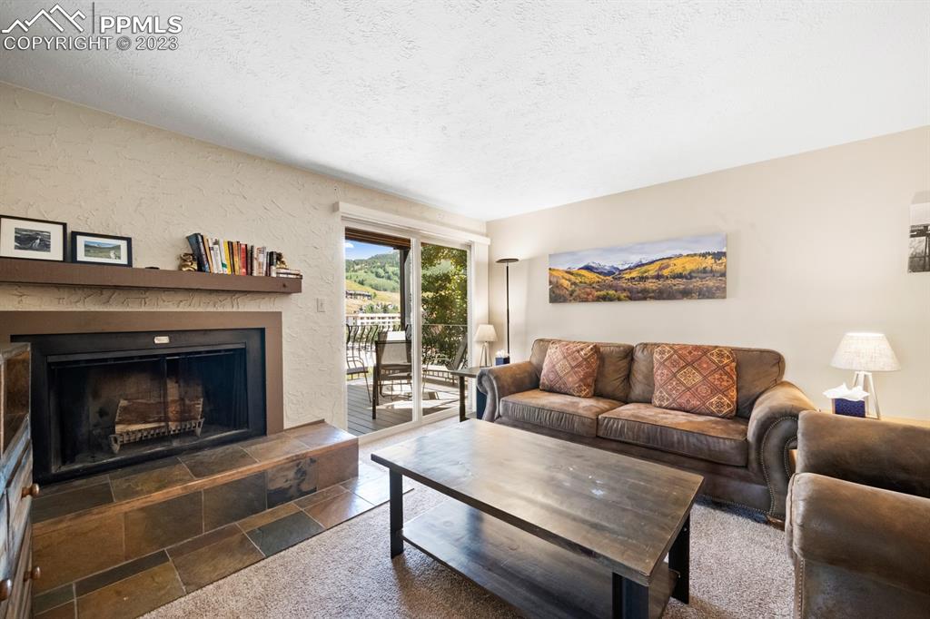 651 Gothic Road, Unit 301 Crested Butte, CO 81225 - Photo 14 of 24 a living room with furniture and a fireplace