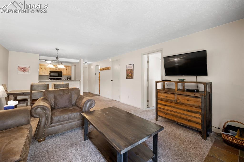 651 Gothic Road, Unit 301 Crested Butte, CO 81225 - Photo 16 of 24 a living room with furniture and a flat screen tv