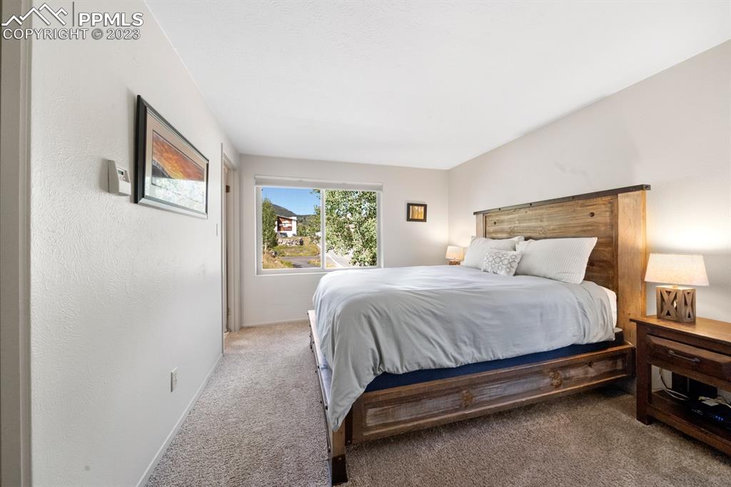 651 Gothic Road, Unit 301 Crested Butte, CO 81225 - Photo 17 of 24 a bed sitting in a bedroom next to a window