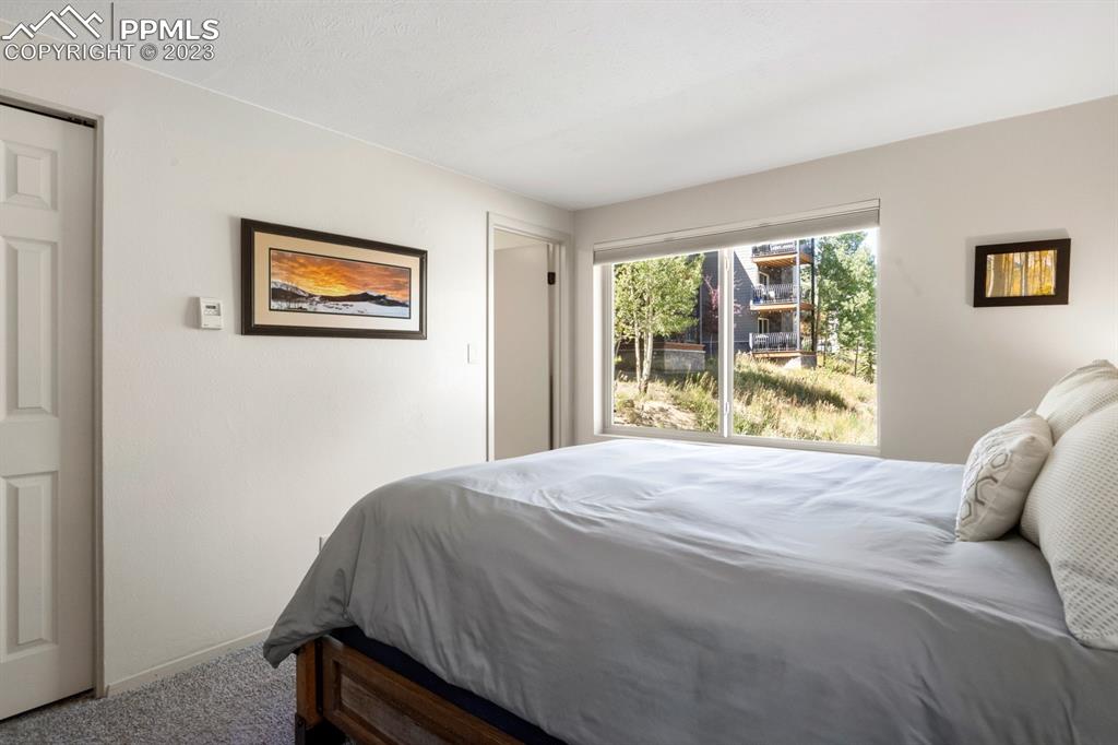 651 Gothic Road, Unit 301 Crested Butte, CO 81225 - Photo 18 of 24 a bedroom with a bed and a painting on the wall