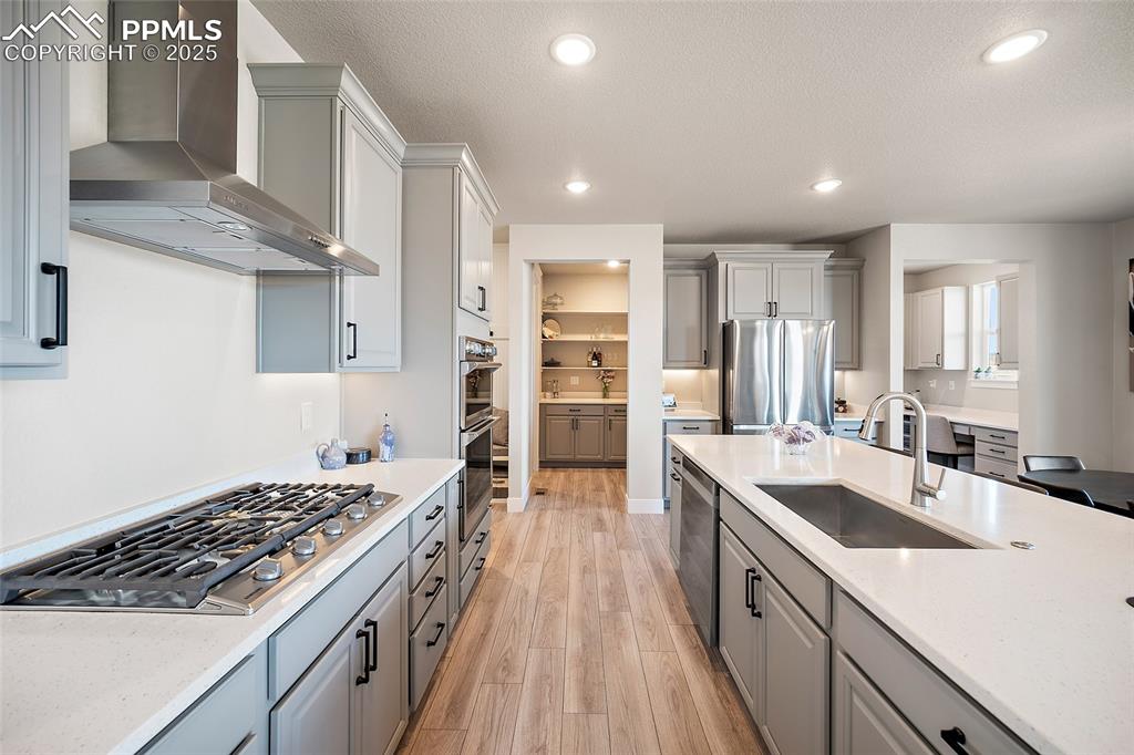 15665 Native Willow Drive Monument, CO 80132 - Photo 21 of 50