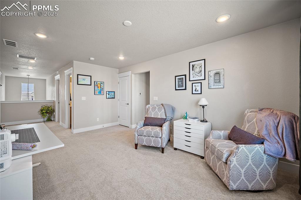 15665 Native Willow Drive Monument, CO 80132 - Photo 31 of 50