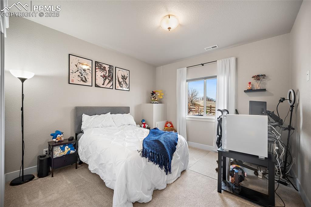 15665 Native Willow Drive Monument, CO 80132 - Photo 44 of 50