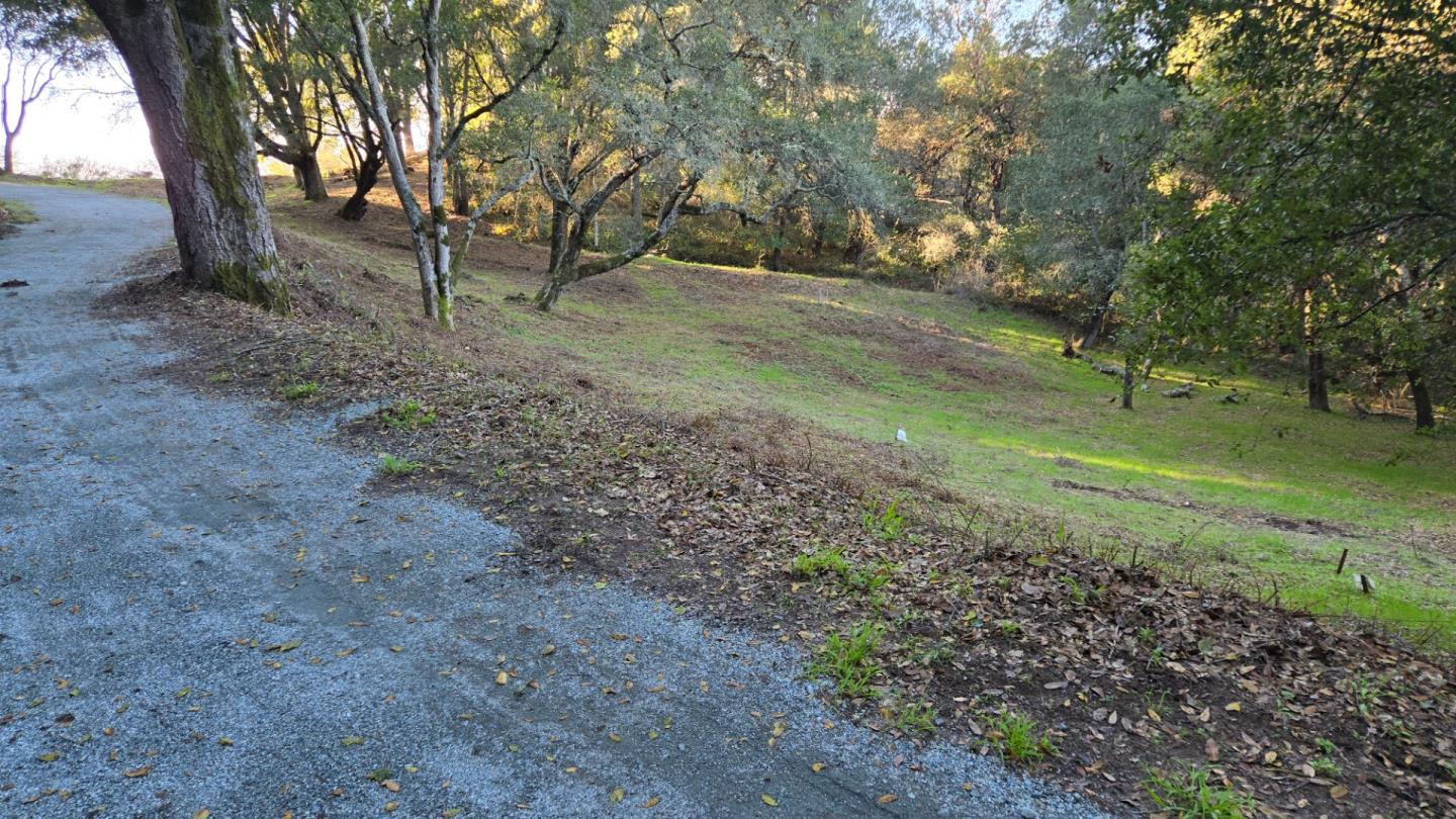 245 Gillette Road Watsonville, CA 95076 - Photo 8 of 17 a view of a yard with a tree