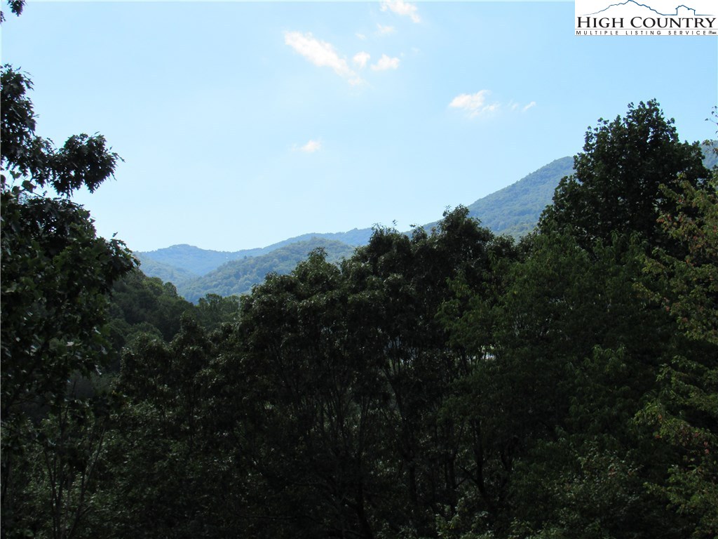 222-3 The Overlook Road Banner Elk, NC 28604 - Photo 18 of 21 Gallery Image 18