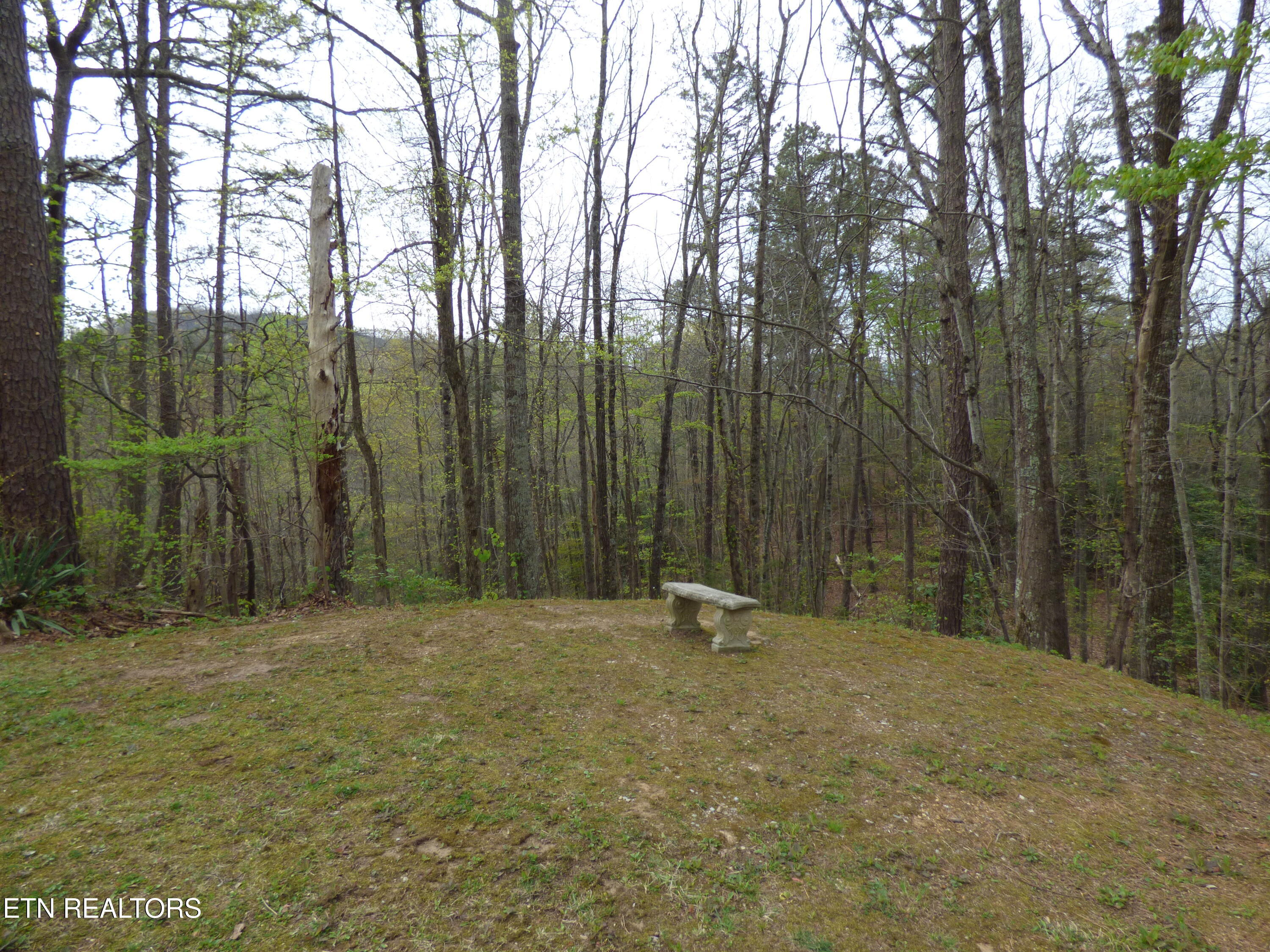 1081 Cove Road, Unit 821 Sevierville, TN 37876 - Photo 21 of 28 P1310299