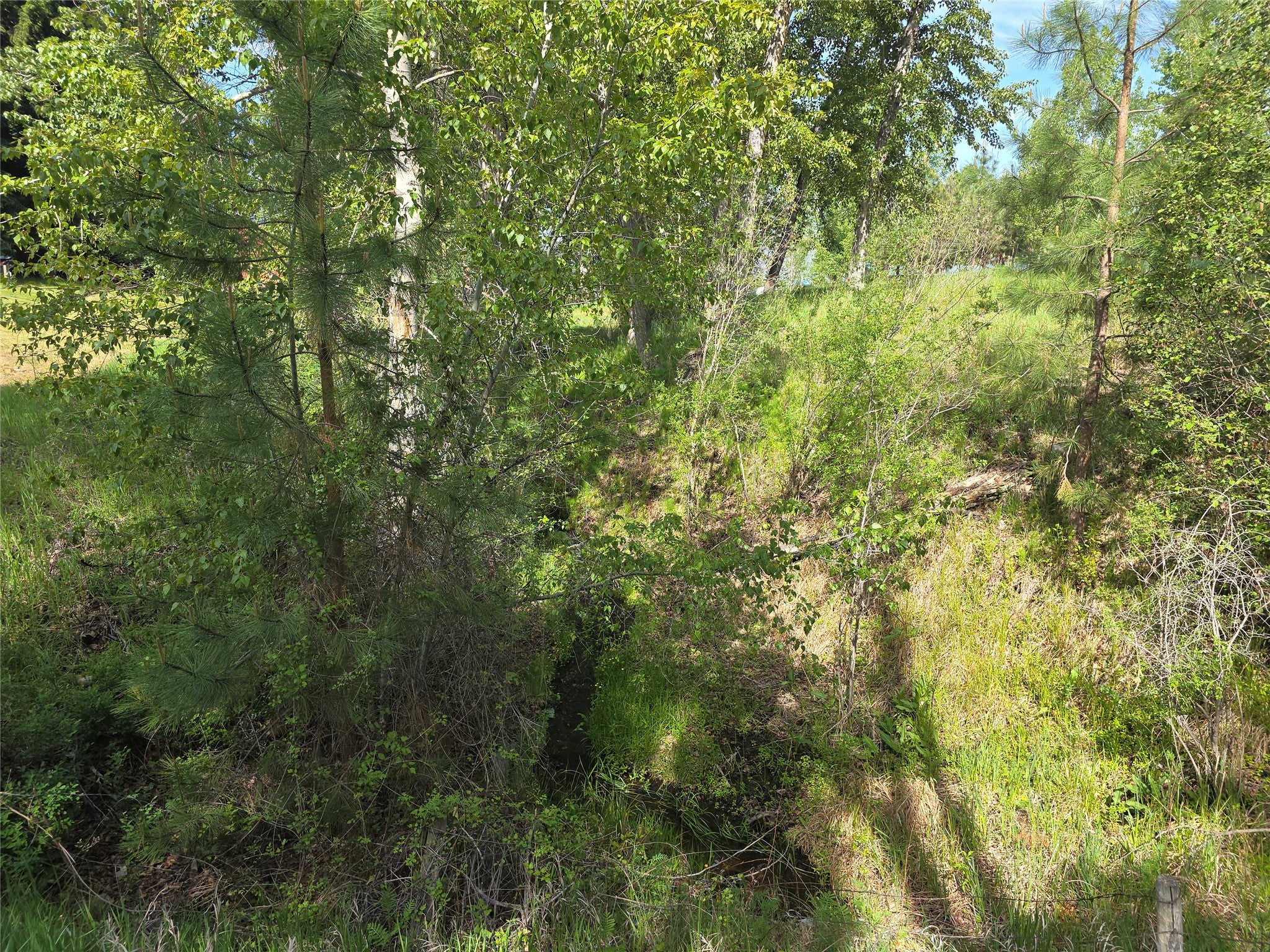430 West River Road Hamilton, MT 59840 - Photo 25 of 40 Gallery Image 25