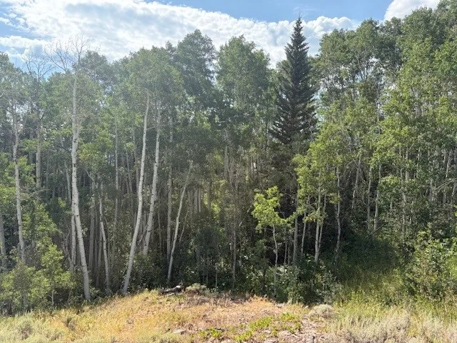 a view of a backyard of a house