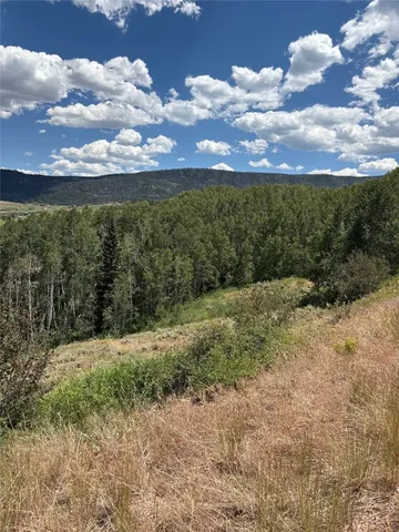 a view of a yard with a mountain