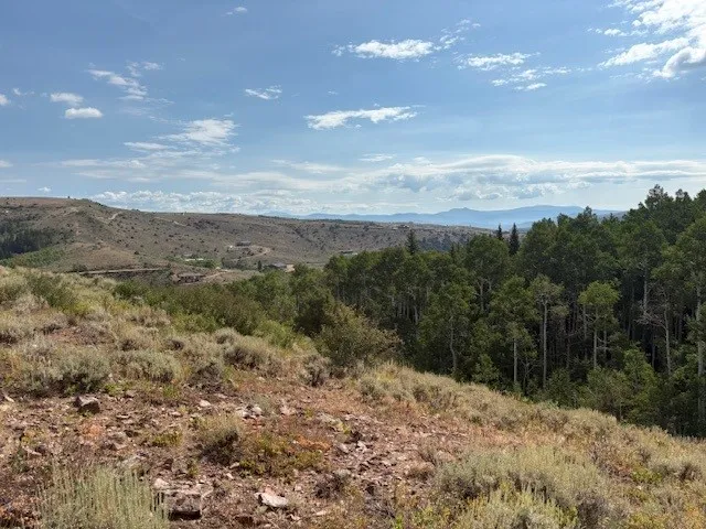 a view of mountain view with lots of trees