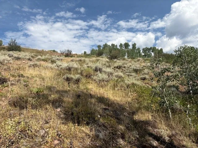 a view of a sky view