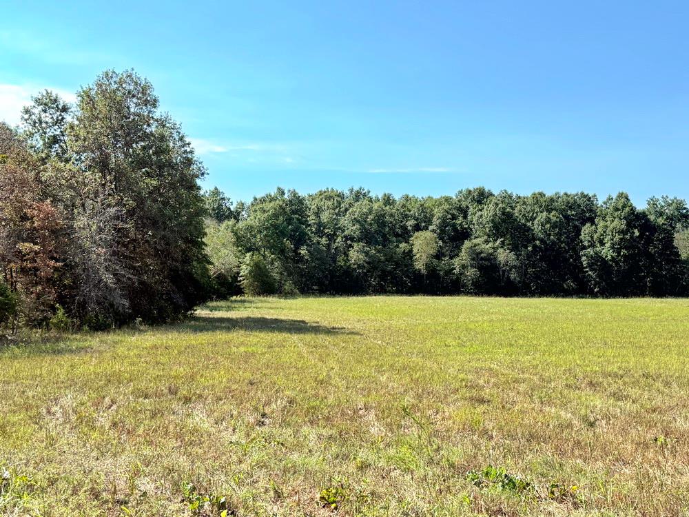Tbd Southwest Tbd Sw 778th Road Osceola, MO 64776 - Photo 12 of 41 Gallery Image 12