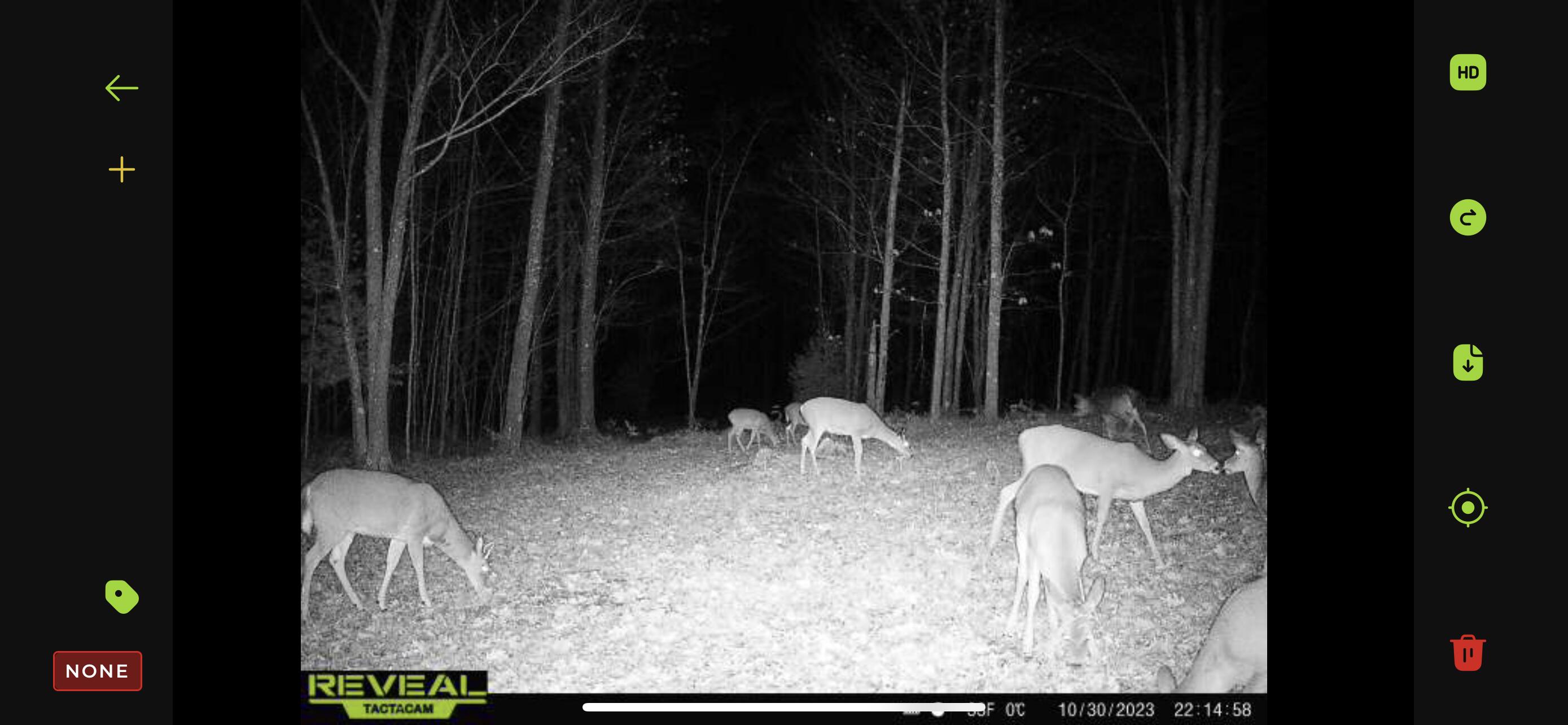 0 Taylor Road Lincoln, MI 48742 - Photo 14 of 15 Gallery Image 14