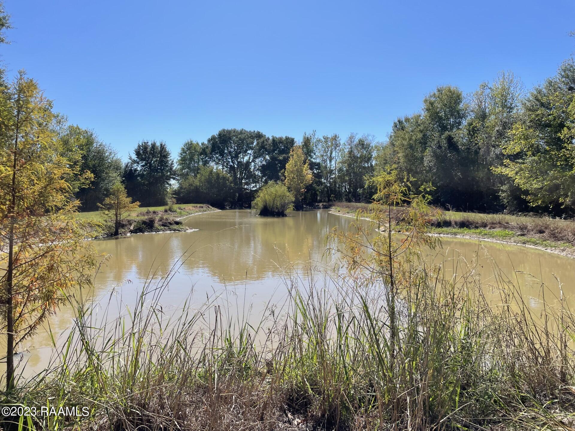 360 Theophile Road Ville Platte, LA 70586 - Photo 13 of 13 thumbnail_IMG_6637