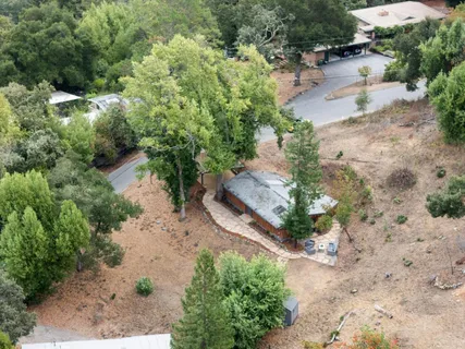 an aerial view of a yard with plants and large trees
