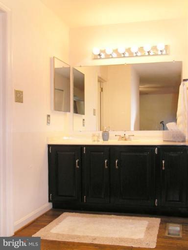 2074 Golf Course Drive Reston, VA 20191 - Photo 17 of 30 a bathroom with a sink and a mirror