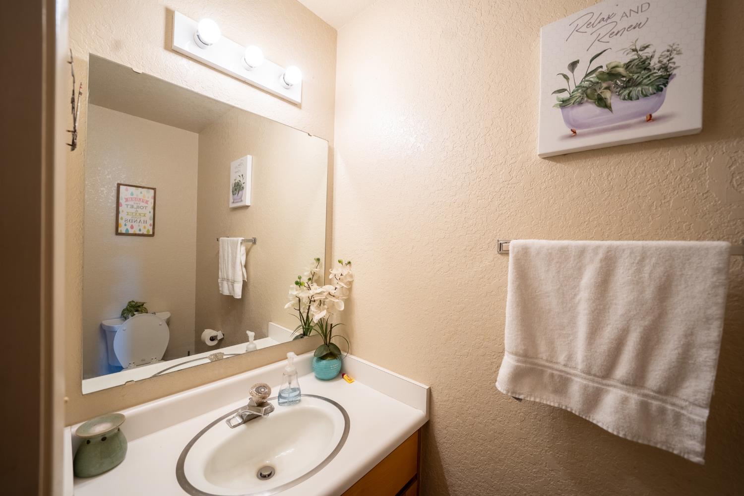 494 Surrey Court Murphys, CA 95247 - Photo 67 of 76 a bathroom with a sink and a mirror
