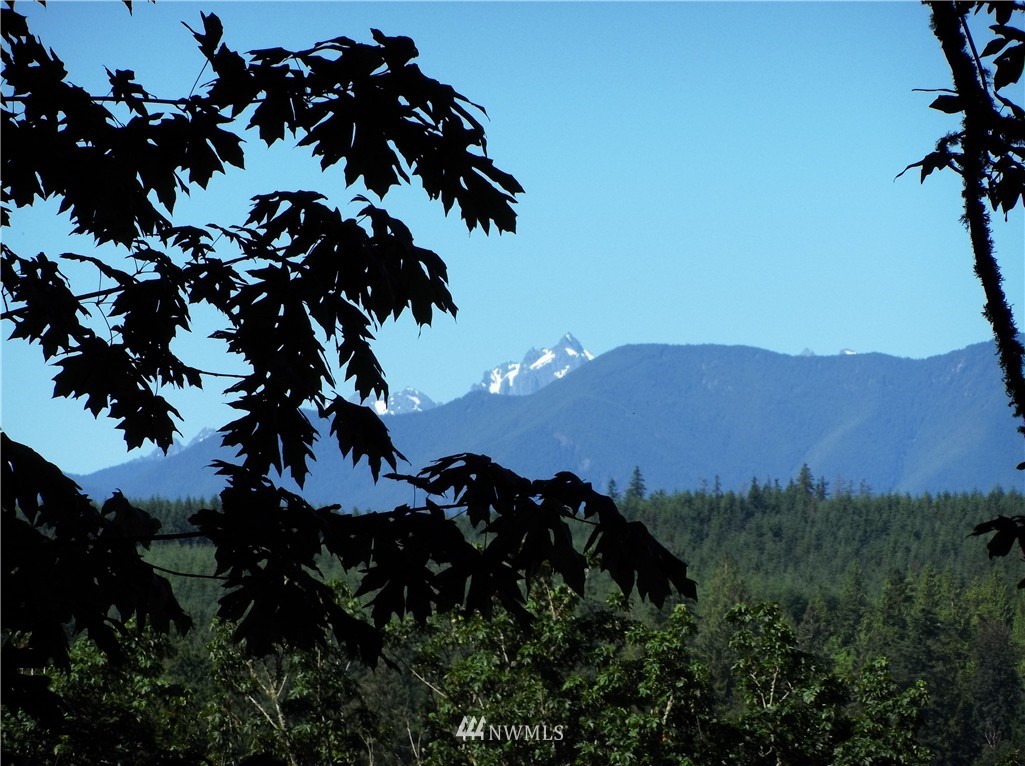 4604 Beaver Valley Road Port Ludlow, WA 98365 - Photo 1 of 13 Gallery Image 1