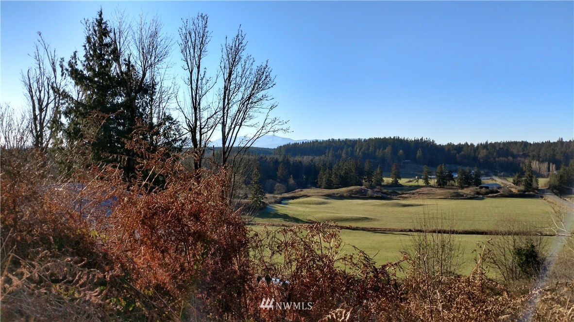 4604 Beaver Valley Road Port Ludlow, WA 98365 - Photo 2 of 13 Gallery Image 2