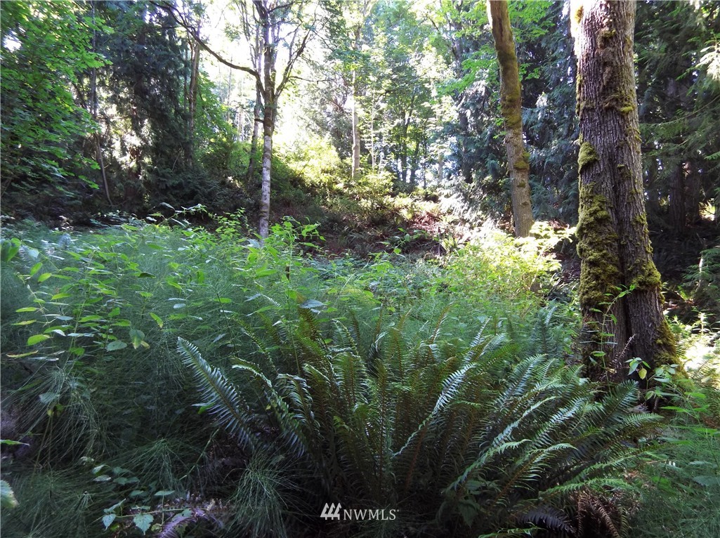 4604 Beaver Valley Road Port Ludlow, WA 98365 - Photo 11 of 13 Gallery Image 11