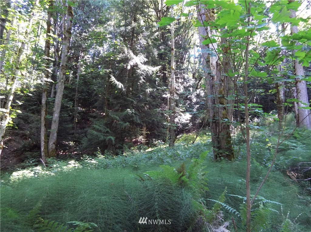 4604 Beaver Valley Road Port Ludlow, WA 98365 - Photo 12 of 13 Gallery Image 12