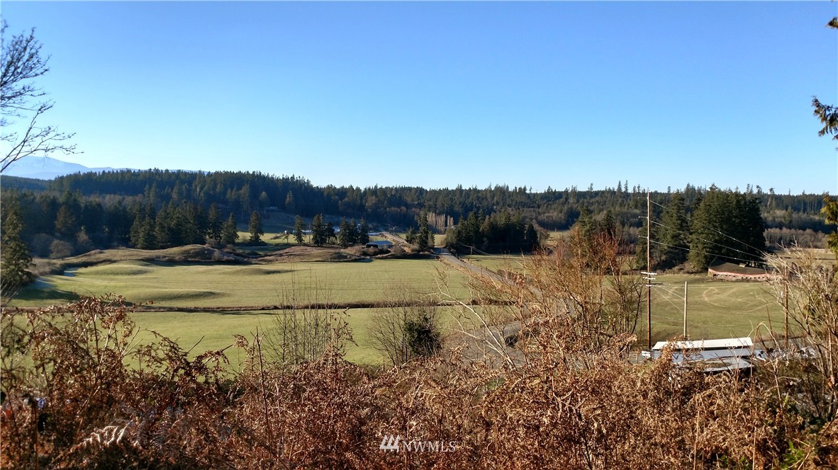 4604 Beaver Valley Road Port Ludlow, WA 98365 - Photo 3 of 13 Gallery Image 3