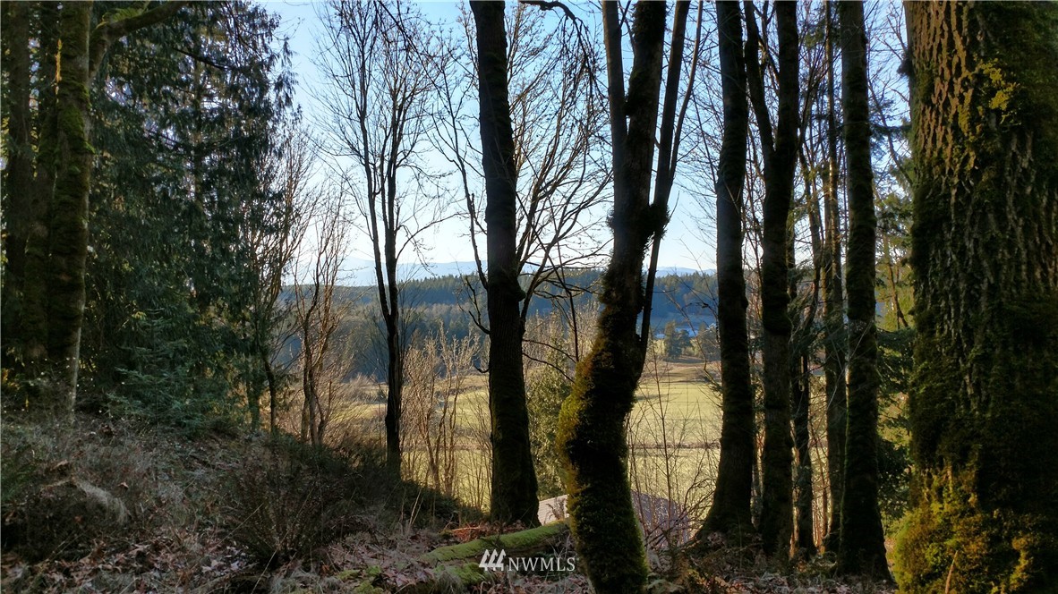 4604 Beaver Valley Road Port Ludlow, WA 98365 - Photo 4 of 13 Gallery Image 4