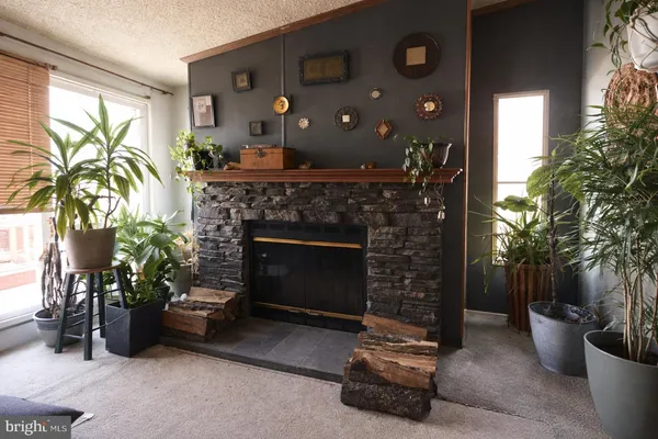 a living room with furniture a potted plant and a fireplace