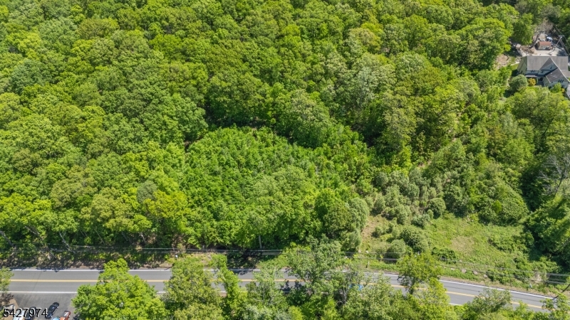176 Espanong Road Lake Hopatcong, NJ 07849 - Photo 2 of 27 a view of a forest with plants and large trees
